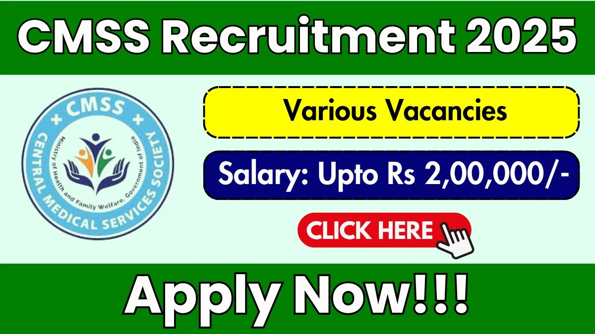 CMSS Recruitment 2025 - Apply Online for 03 Manager, General Manager and Other Posts by Oct 23