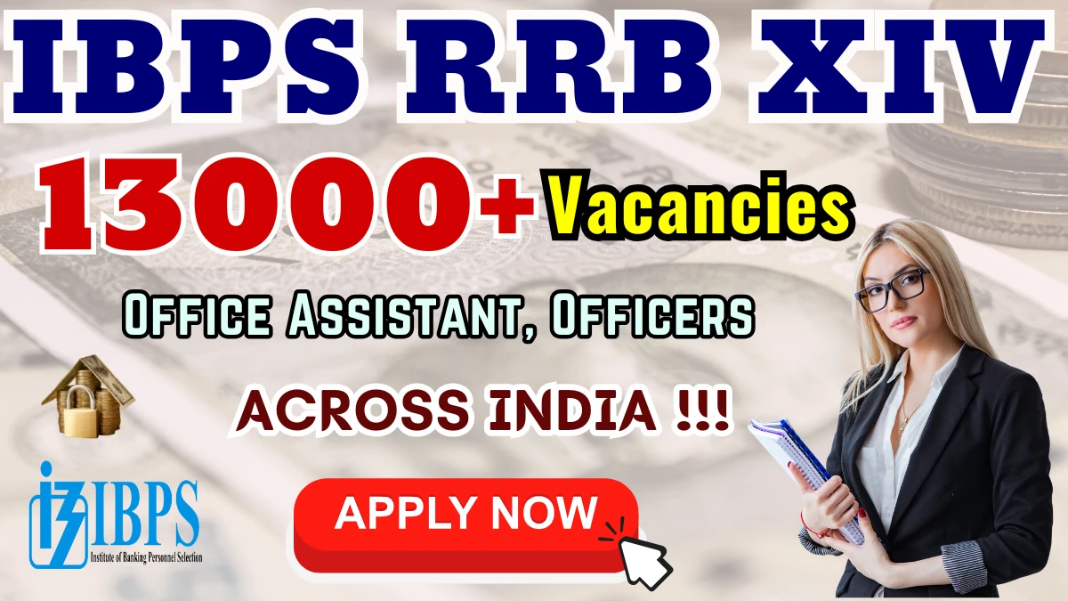 IBPS RRB Gramin Bank Recruitment 2025 - Apply online for 13,217 Office Assistant, Officers Posts by 21 Sep IBPS RRB Guide