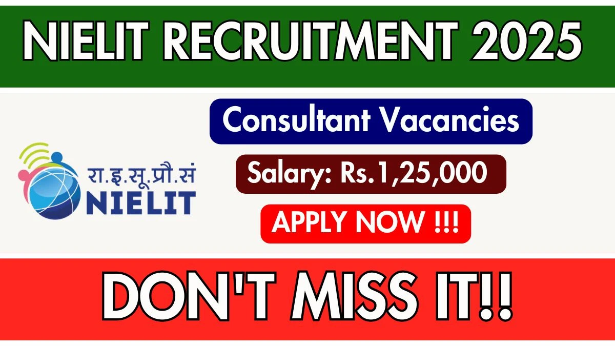 NIELIT Consultant Recruitment 2025 - Apply Online by Sep 23