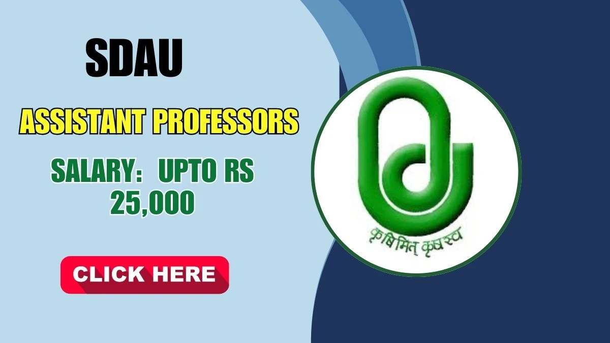 SDAU Assistant Professors Recruitment 2025 - Apply Offline for 02 Posts by Sep 29