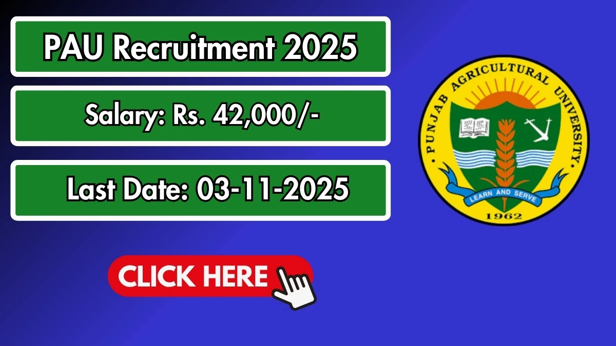 PAU Young Professional II Recruitment 2025 - Apply Offline